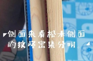 桧木与松木对比：优缺点解析及适用场景推荐
