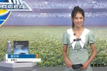 《绿茵玫瑰天下足球女主持的风采》