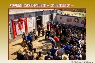 乡土直播新浪潮：土什么揭秘原生态生活与地道文化