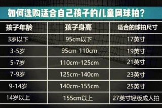 网球拍品牌选购指南-热门型号性能解析及推荐榜单
