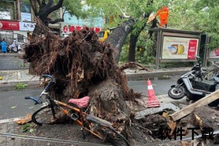 纽约暴雨：强风掀树致灾_交通瘫痪地铁成河
