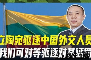 中国外交反制立陶宛_经济孤立与470亿债务危机