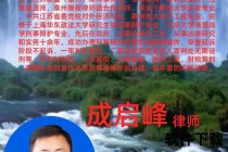 律师来了：专业法律咨询与紧急援助实战指南