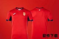 绿茵战袍密码-足球队服设计中的色彩传承与力量象征