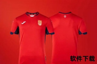 绿茵战袍密码-足球队服设计中的色彩传承与力量象征