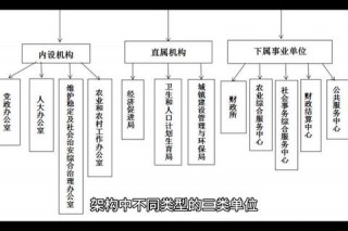 管理部门职责解析-财政部门与民政体育分工协作