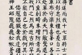 铁骑锋芒破长夜_苍暮银杖守残辉