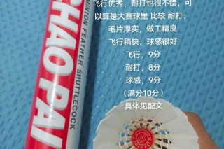 超牌红超羽毛球测评：耐打与飞行稳定性兼备的高性价比之选
