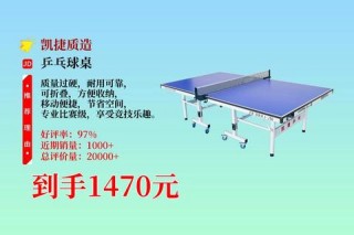 乒乓球桌价格指南：不同品牌型号预算解析及选购建议