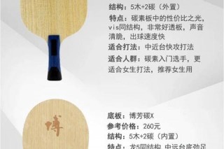 乒乓球直拍推荐指南：如何选择适合你的球拍款式与品牌