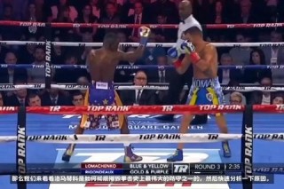 萨利多VS洛马琴科-超重风波下的争议首胜与复仇之争