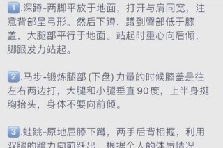 NBA腿部力量训练秘籍-解析球星赛场爆发力与弹跳提升关键