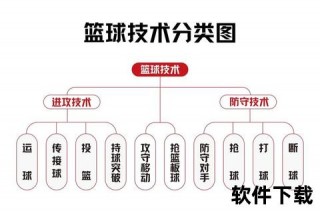 篮球专业课程体系解析：核心技能训练与理论知识学习路径