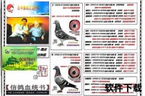 本菲卡_雄鹰振翅欧陆续写百年豪门辉煌
