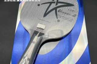 银河乒乓球拍哪个好_性能对比与热门型号选购推荐指南