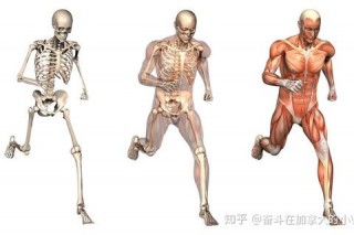 黑人身体素质探因：运动天赋_生理机制与科学解析