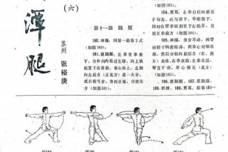跆拳道命名解析：腿拳技艺与武道精神的融合