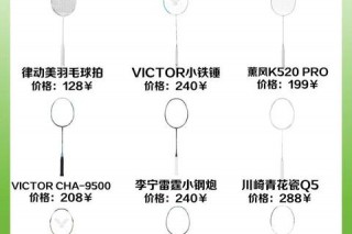 羽毛球拍哪个网站好_热门平台评测与选购攻略推荐
