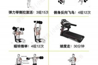 哑铃重量选择指南-如何确定最适合的锻炼负荷