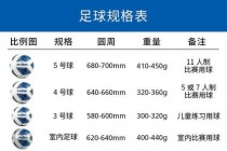 5号足球价格解析：多少钱一个及选购技巧推荐