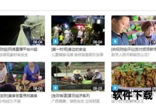 CCTN揭秘：中国国际电视台与县市广告网的双重解析