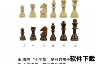 国际象棋奥秘解析：策略艺术与千年智慧传承