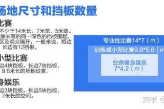 乒乓球桌价格指南：不同品牌型号预算解析及选购建议