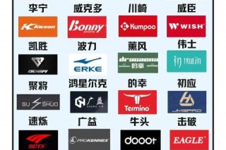 羽毛球品牌推荐指南：热门品牌对比及选购技巧解析