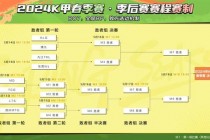 瑞典甲联赛解析_赛制结构及升降级机制详解