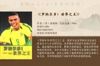 南非世界杯十年记忆：绿茵场上的荣耀征程与难忘时刻