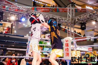 拳击录像：巅峰对决精彩回放_攻防技巧与战术深度解析