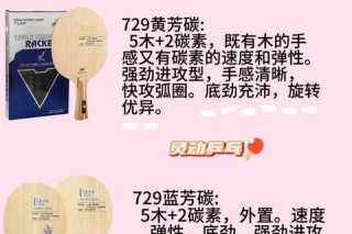 乒乓球底板推荐指南-如何选择最适合你的球拍及品牌解析