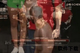 方便未征战UFC之谜：职业路径差异与赛事规则深度解析