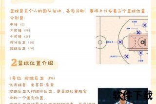 NBA球员位置全解析：五大角色职能_战术定位与实战作用详解