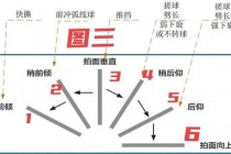 乒乓球退赛事件剖析：关键原因与各方反应深度解析