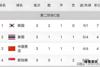 世界杯足球积分榜最新战况与排名解析