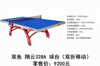 乒乓球台子多少钱_2025年最新价格及选购推荐