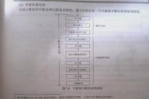 比赛中断成因解析：突发状况与流程漏洞的双重考验
