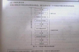 比赛中断成因解析：突发状况与流程漏洞的双重考验
