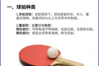 乒乓球直拍推荐指南：如何选择适合你的球拍款式与品牌