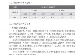 单人跳水解析：规则、动作与评分标准全解