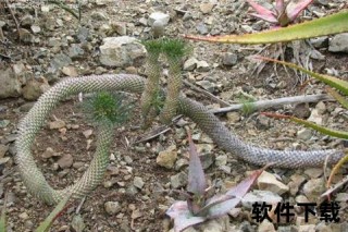 狂飙龙_逆鳞觉醒-巅峰对决引爆极限狂潮