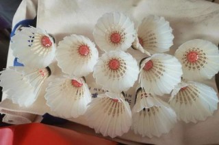 超牌红超羽毛球测评：耐打与飞行稳定性兼备的高性价比之选