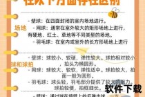 壁球解密：一项融合速度_策略与趣味性的室内竞技运动解析