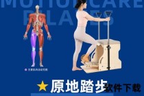 垫步解析：核心概念、技巧与应用场景全解