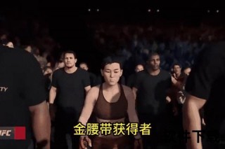 四大拳击组织巅峰对决：谁的实力统治力更胜一筹？