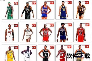 NBA球员身高数据解析：现役与历史顶尖案例对比