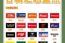 羽毛球品牌推荐指南：热门品牌对比及选购技巧解析