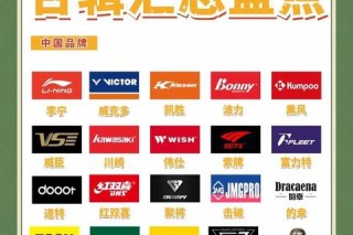 羽毛球品牌推荐指南：热门品牌对比及选购技巧解析