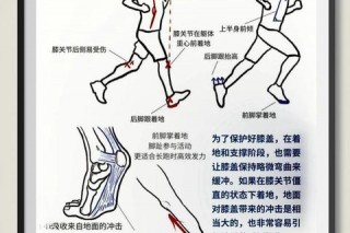 慢跑vs快走：科学解析哪种运动更伤膝盖_关键因素对比